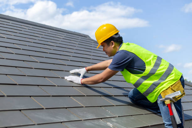 Roof Gutter Cleaning in Story City, IA