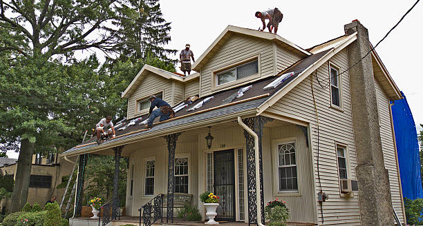 Best Flat Roof Repair Services  in Story City, IA